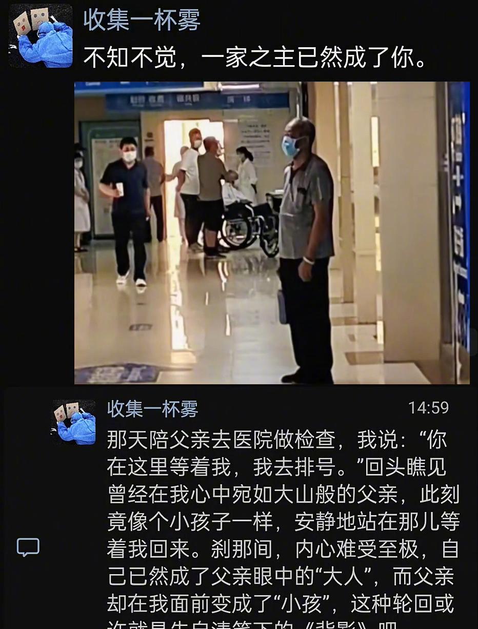 不知不觉你已然成为了一家之主。