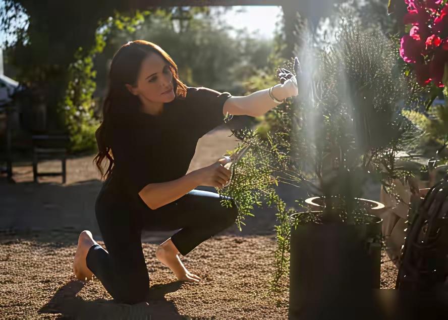 这一次梅根的流量密码，居然失效了？为何？三个原因！第一，梅根王室地位不稳，而