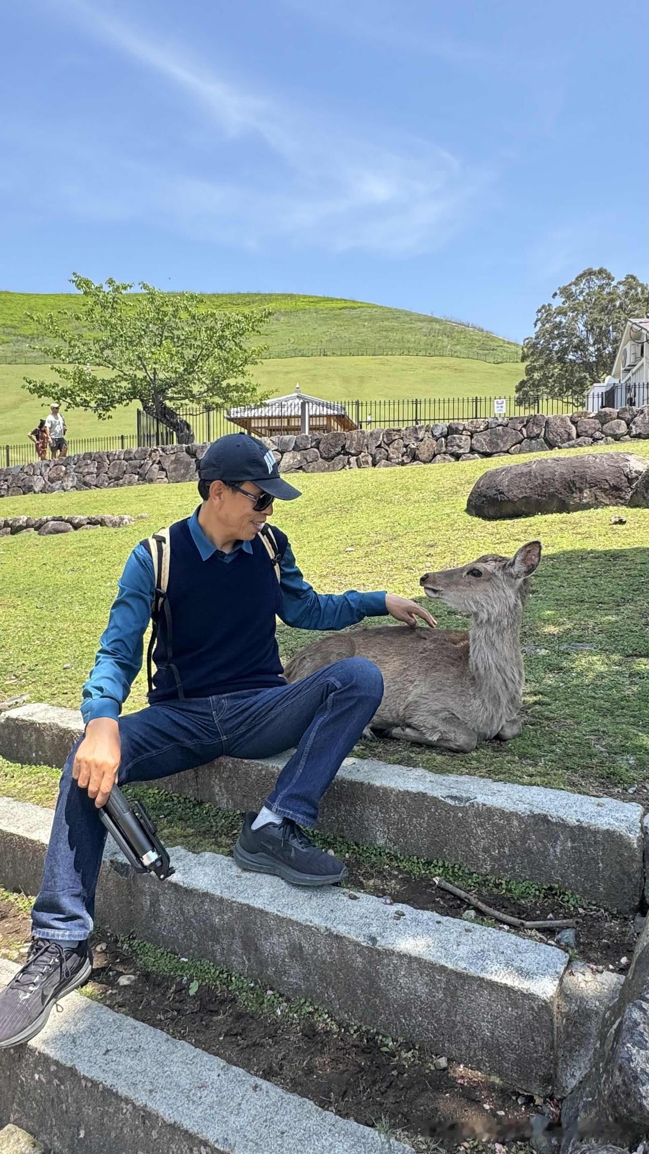 白日闲游奈良，傍晚遭遇惊魂。到大阪该办的事都办妥了，剩下的就是美食美景了，美