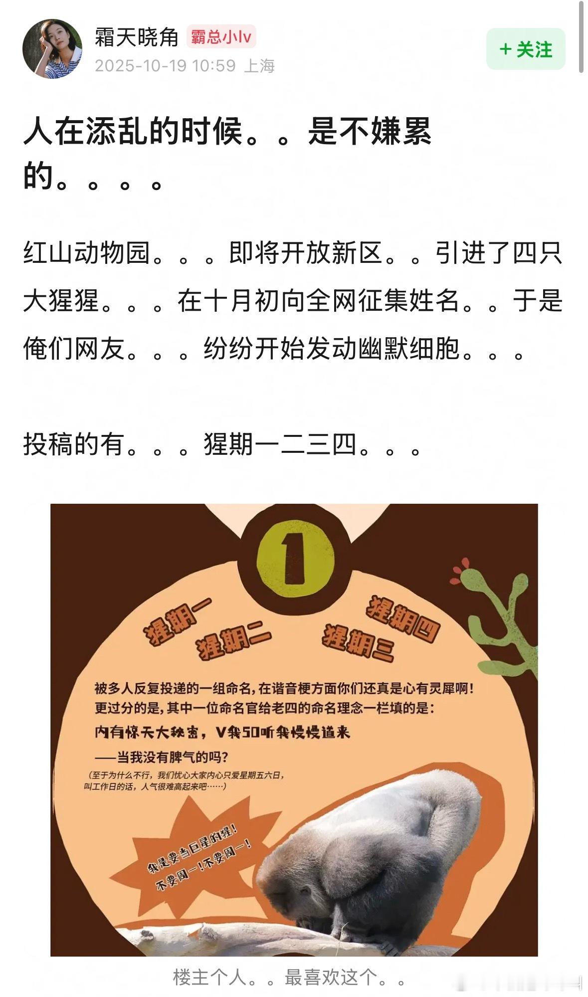 哈哈哈哈人在添乱的时候是不嫌累的​​​