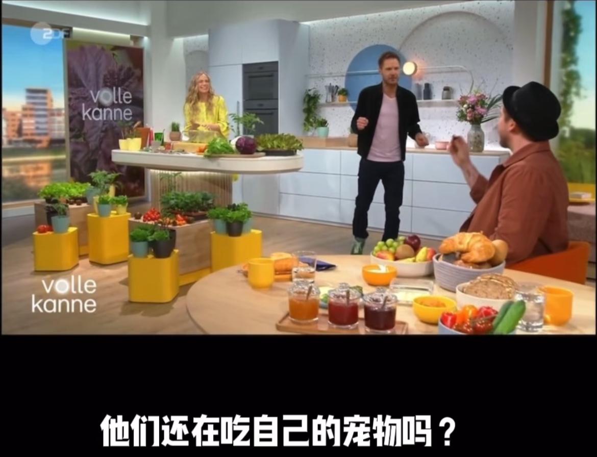 德国人又在节目中内涵中国人吃自己的宠物了，家养的鸡和猪算宠物吗？