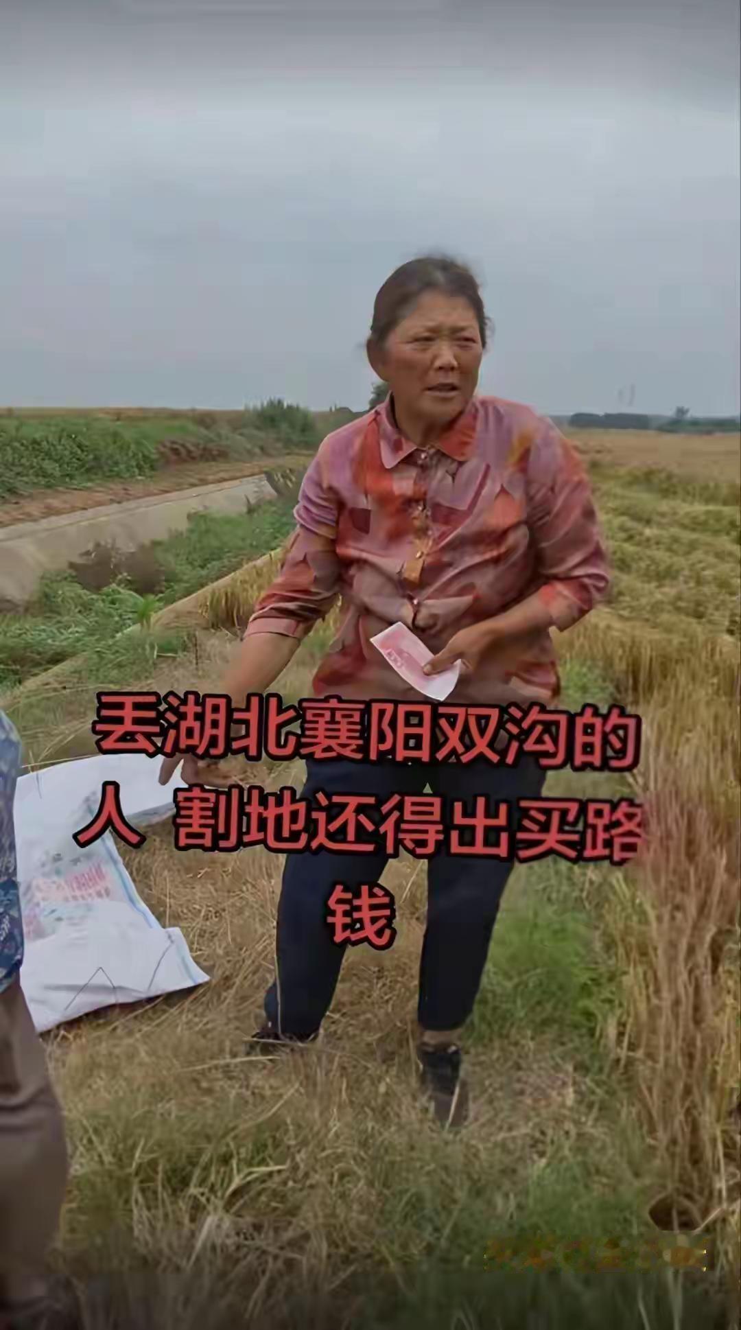 能单纯，从长相，分析下，“割四赔五”女主角吗？
