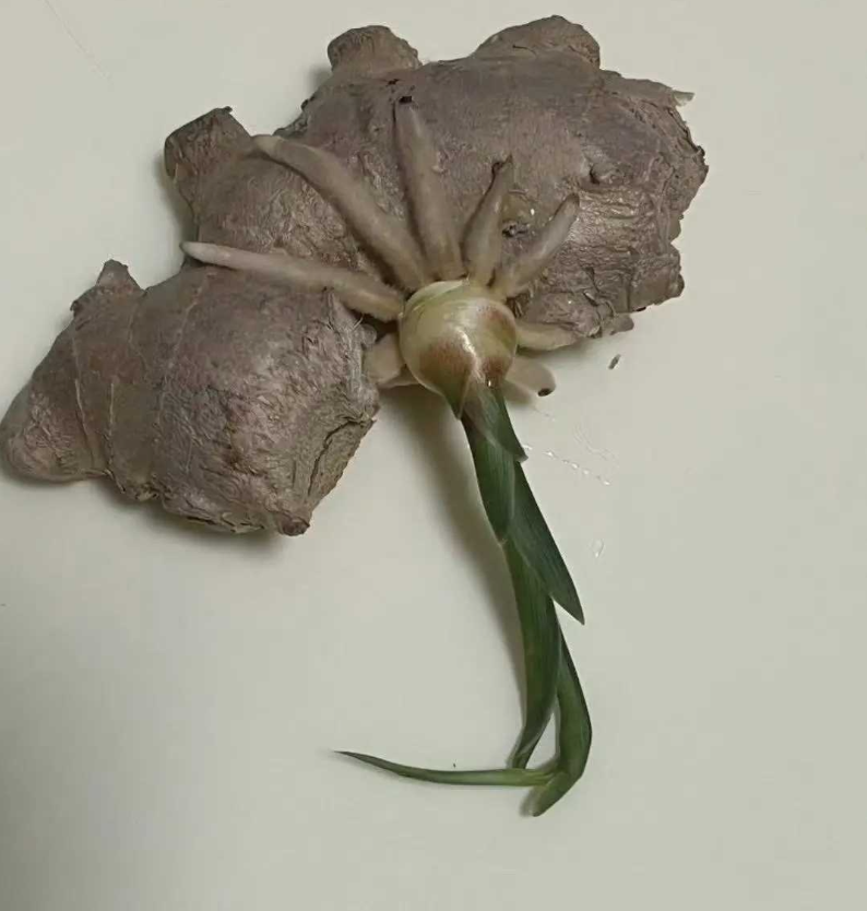 女朋友给我寄了这个，有什么寓意吗？