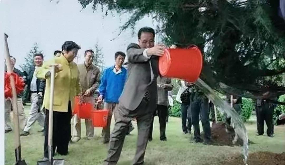 2005年金秋十月，李鹏与夫人朱琳重返三峡坝区。在环保公园里，他们亲手种下迎客松