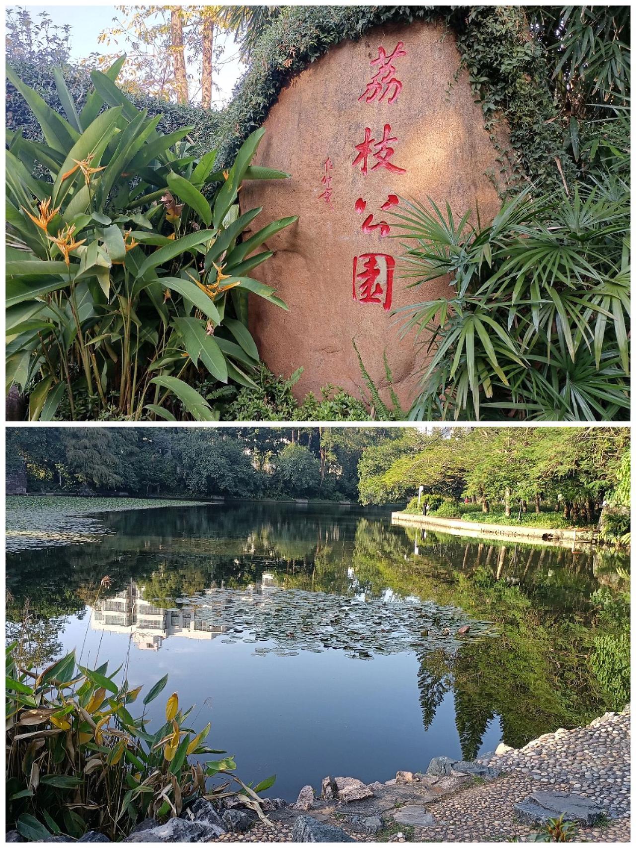 大抵深圳真是连公园也很甜蜜的。上午刚刚游玩了香蜜公园的，甜甜蜜蜜吃过中饭，下午原