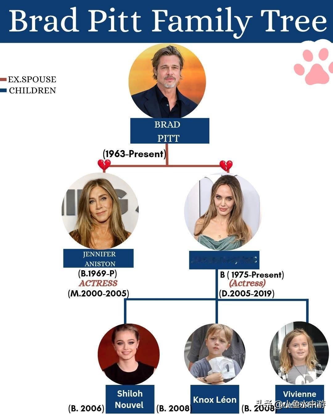 好莱坞最受热议的家族：布拉德·皮特的感情生活与传奇人生