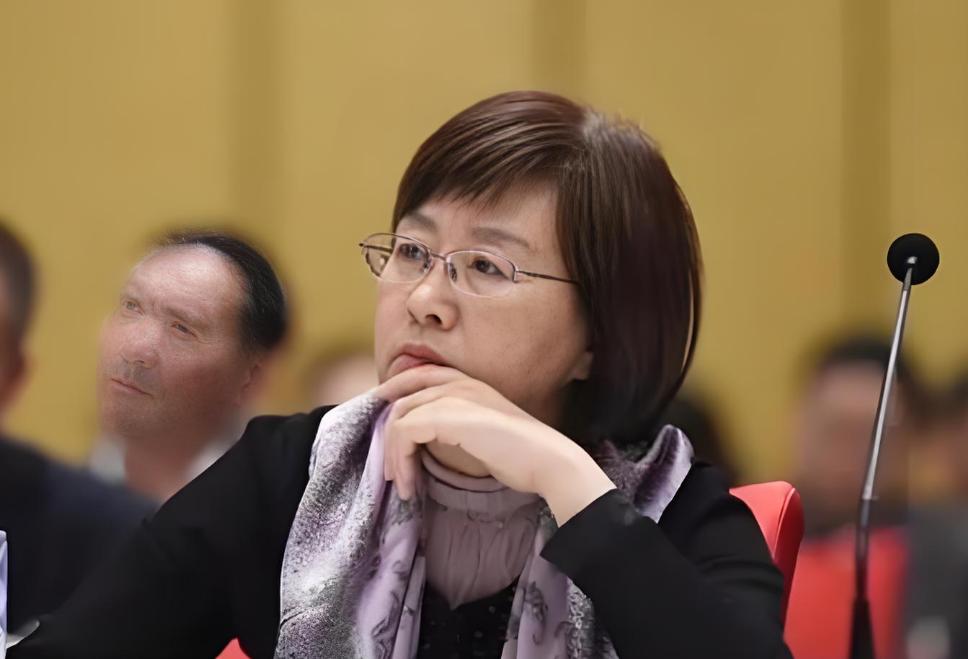 国家在研发东风-17时，发现导弹在飞行中，极易遭到外部干扰，所有人都建议增加反电