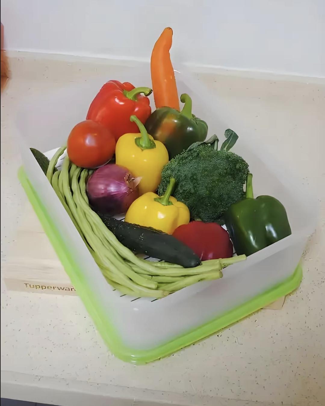 我试了网上火的“湿纸巾+保鲜盒”法，真撑到了第7天，叶子还脆。但前两天失败过两次