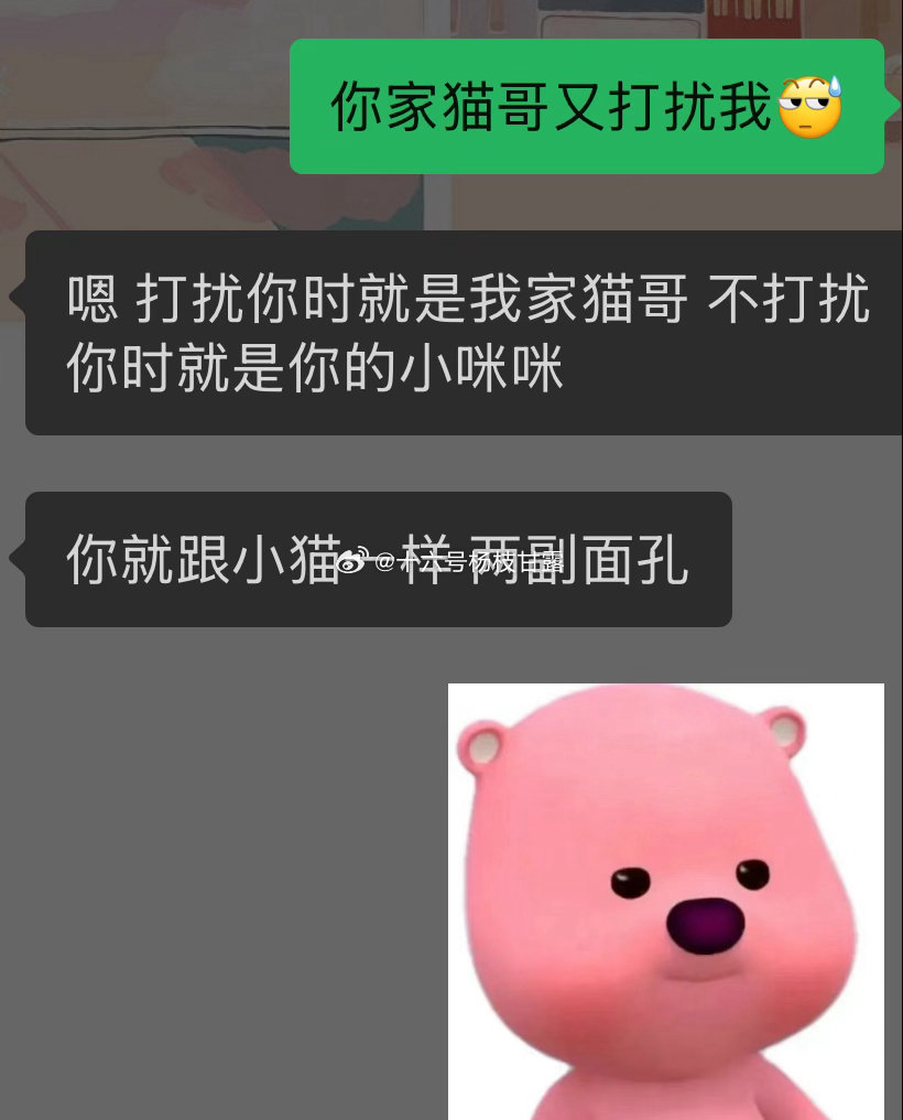 我的常用语：“你家猫又挠我。”“你的猫一点都不老实。”“我的小猫猫真可爱。”“我
