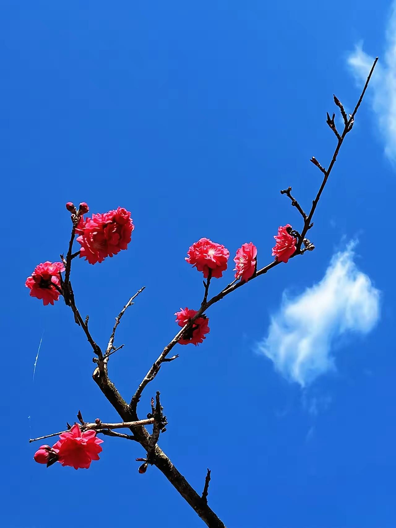 真正聪明的岳父，早就看透了这五件事。第一，女婿是亲戚，不是儿子。你把他当儿子使唤