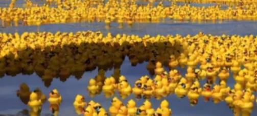 1992年，我国一艘货轮上28000多只小黄鸭因意外掉入太平洋，没想到这些小黄鸭