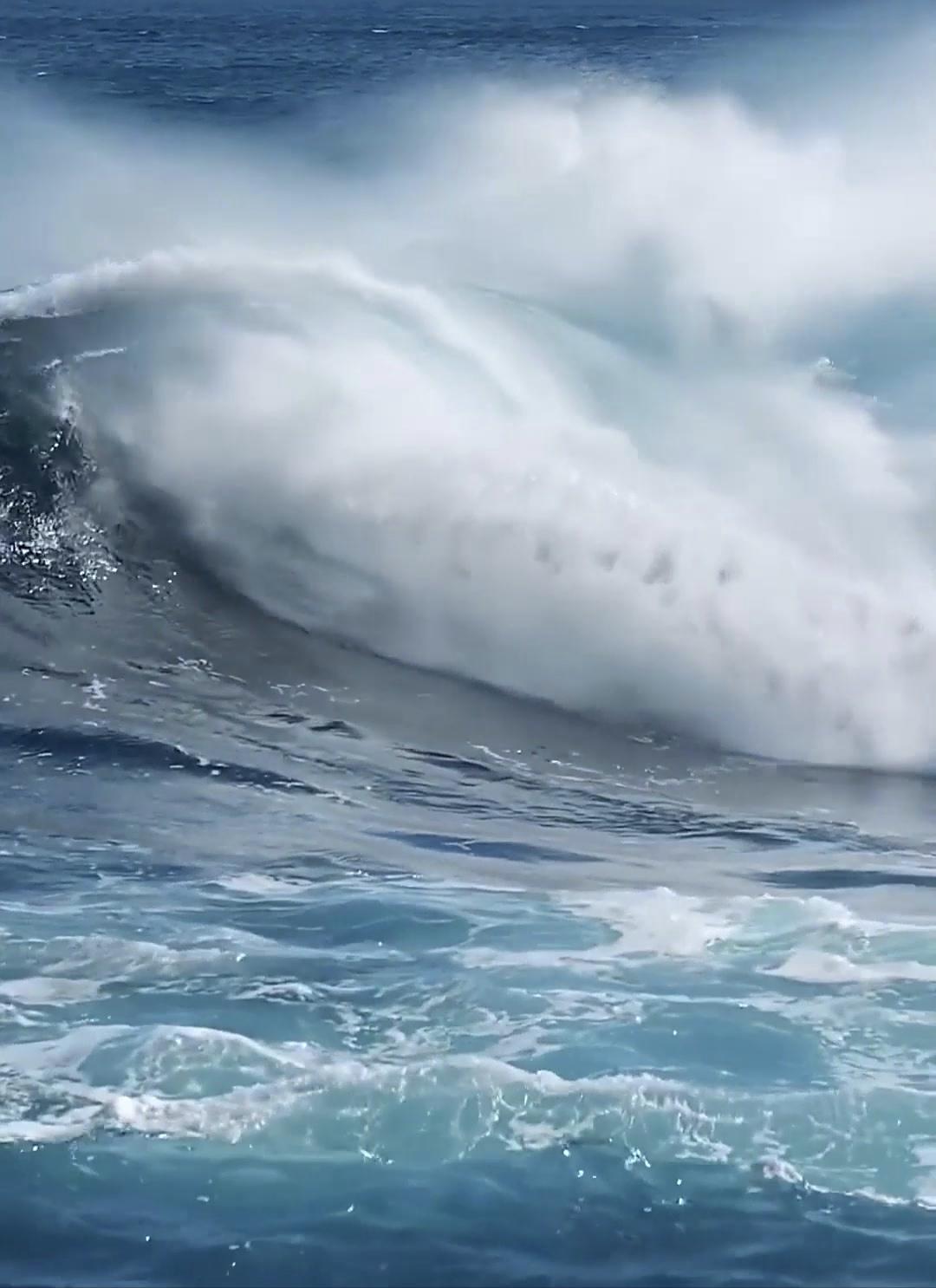 1851年太平洋捕鲸谜案：斩海怪得巨油，整船人为何离奇消失？1851年，美