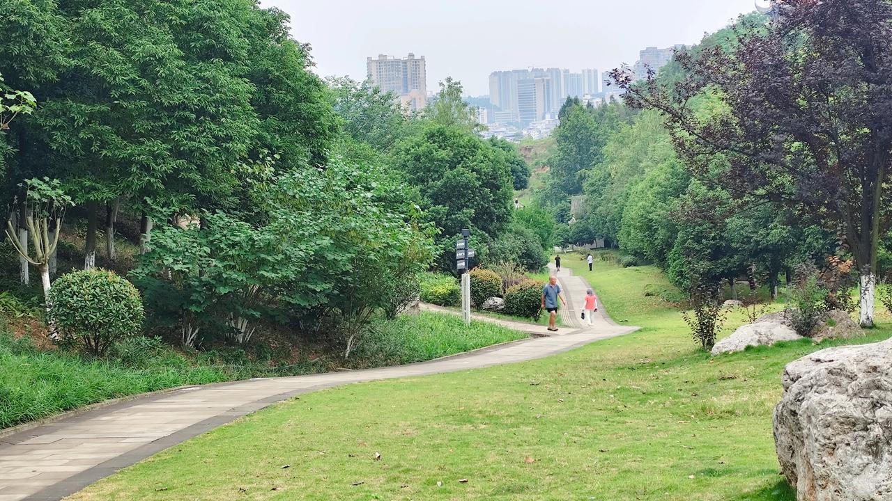 分享一张自然风景的照片，公园风景随手拍