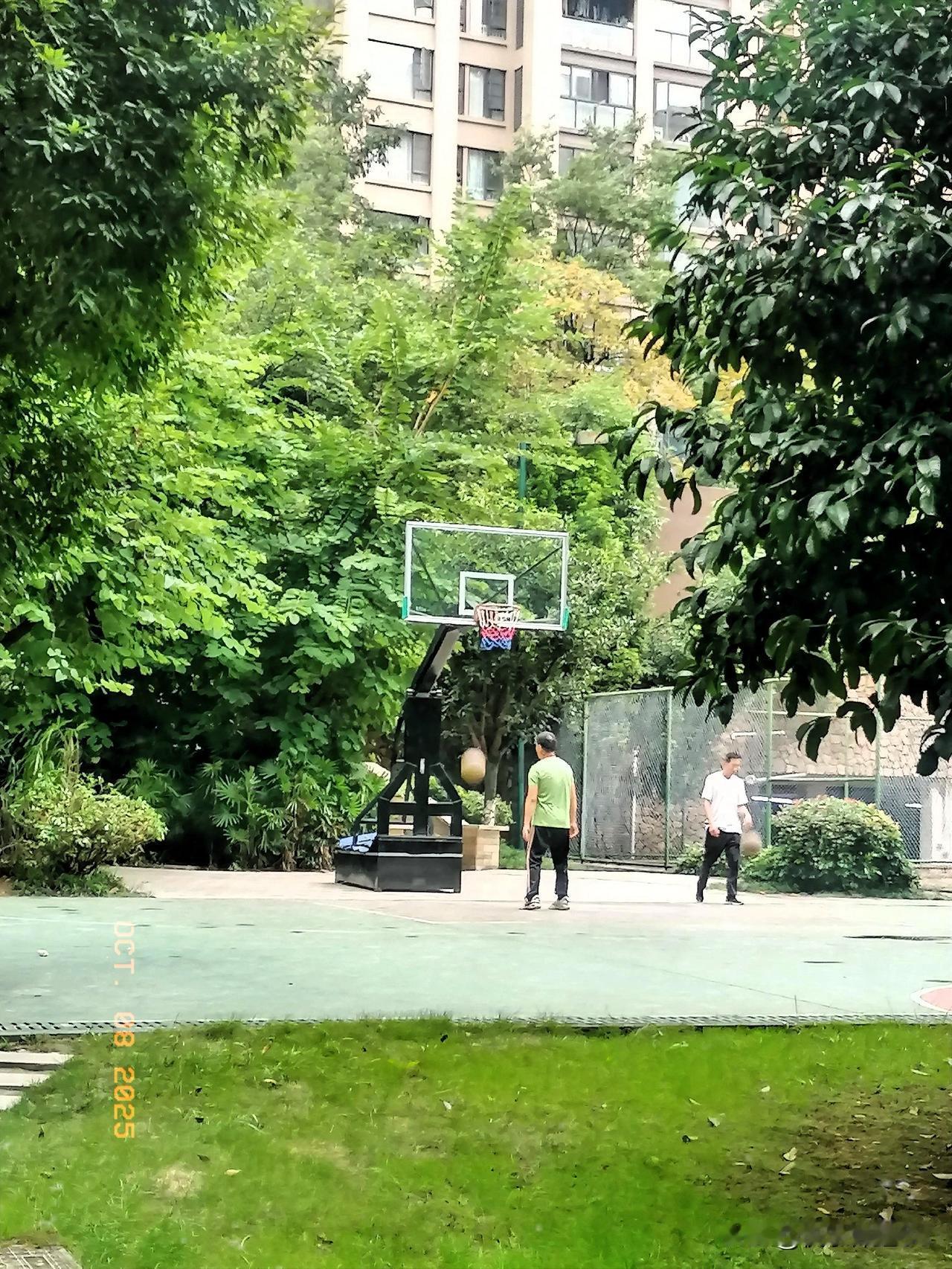 我发现早晨锻炼真的很不一样，感觉一整天都很轻松舒服，你们有多少人喜欢早晨锻炼的呀