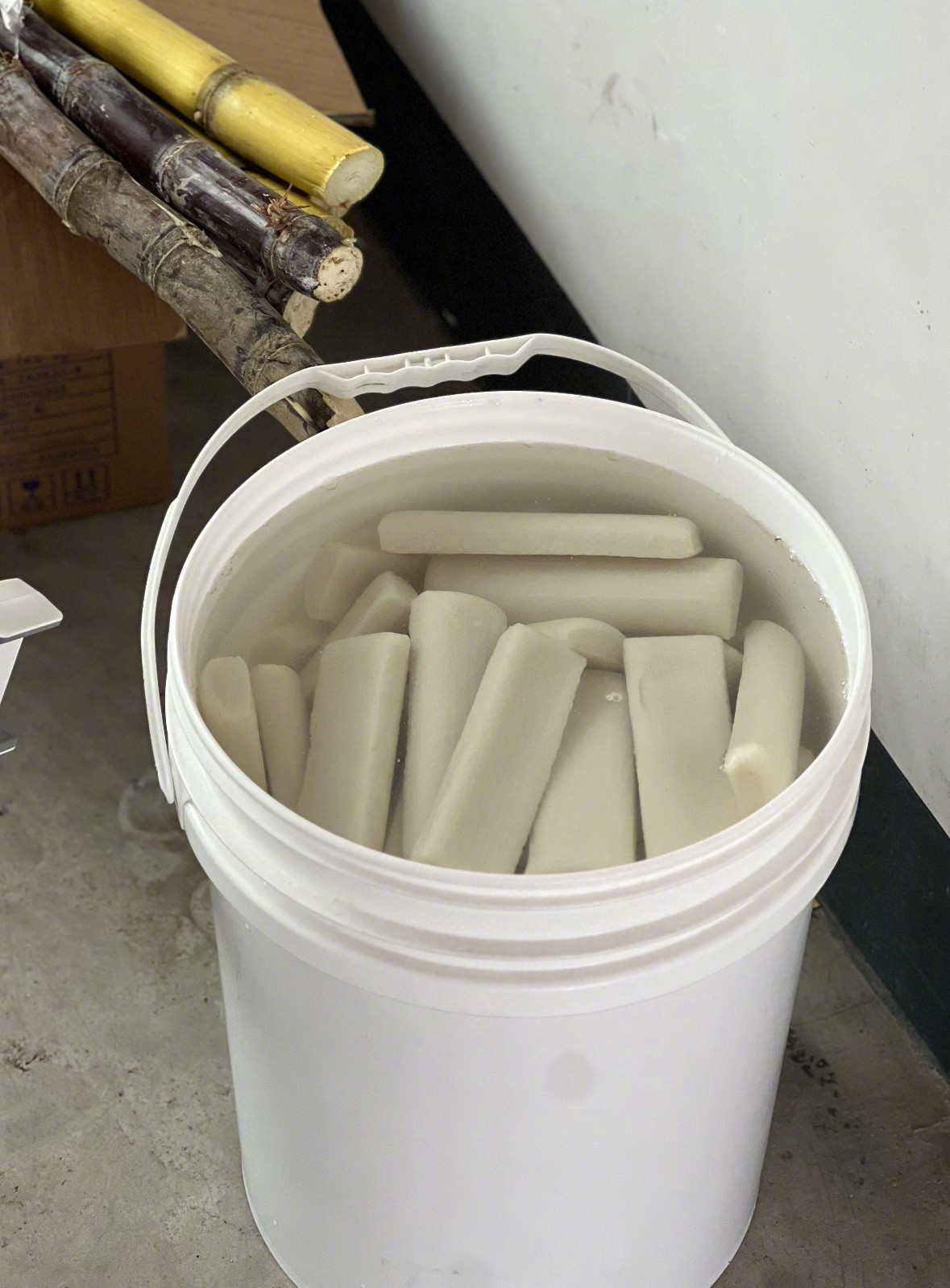 浙江人冬天养的宠物belike