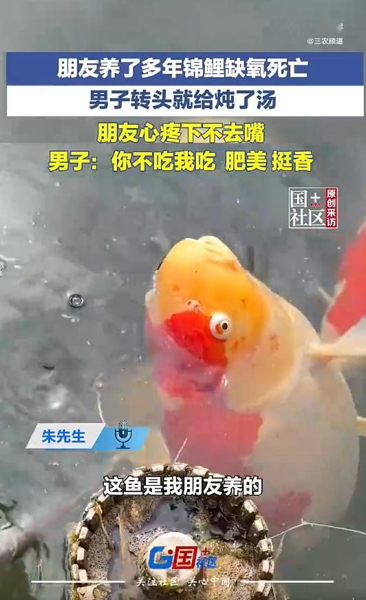 5月9日在山东滕州，一男子朋友养了快三年、重达二十多斤的锦鲤缺氧死了。本打算扔掉
