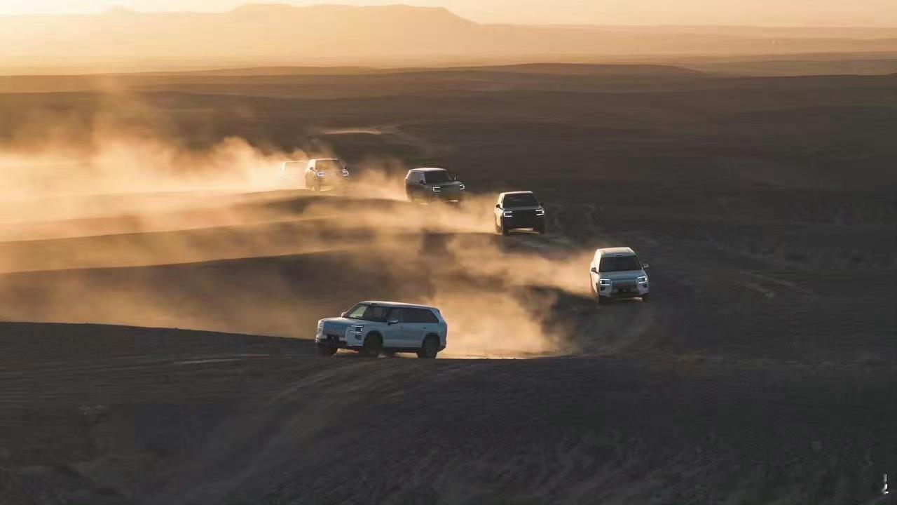 极氪也是出息了