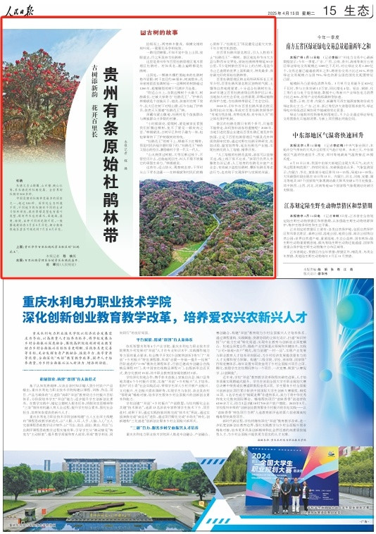 贵州有条原始杜鹃林带(古树的故事)
