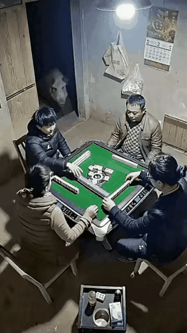 真别再小瞧猪了，现实里就有主人打麻将忘了喂猪，饿急的猪自己找上门，被主人数落之后