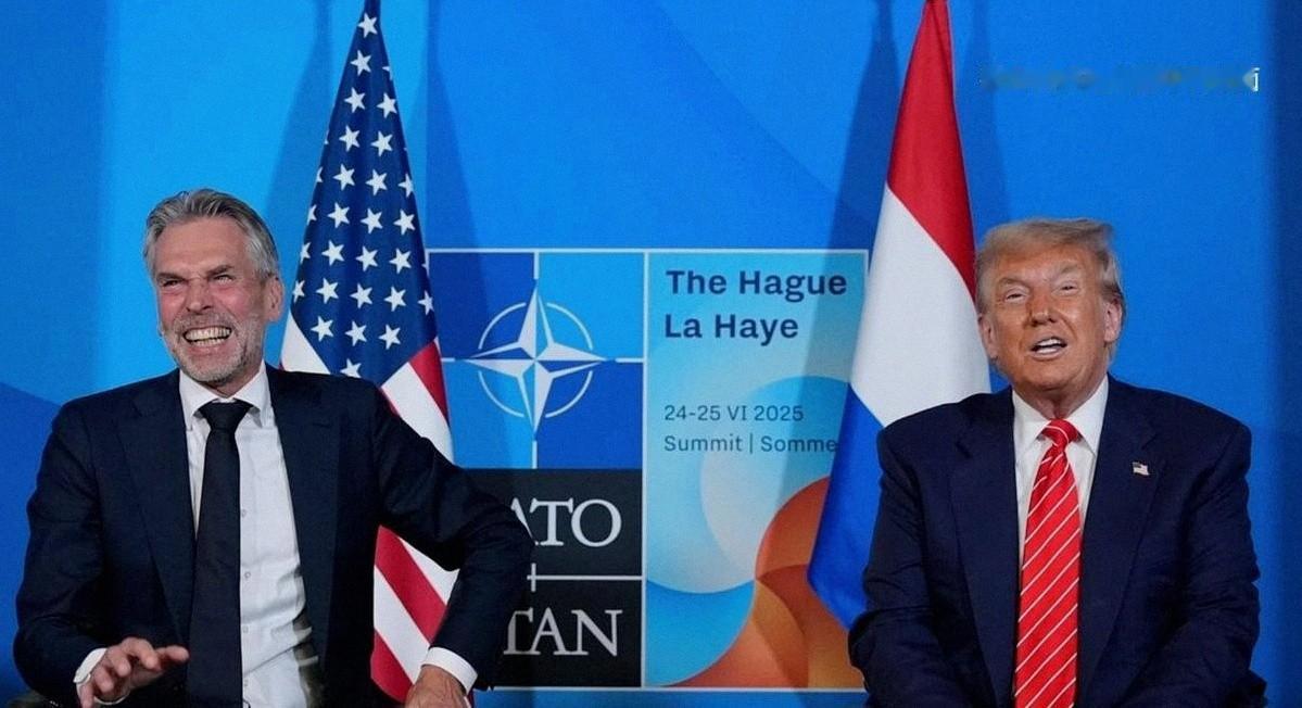 偷鸡不成蚀把米！荷兰高官承认强抢安氏蓄谋已久，遭中方反制后丢尽脸面，困在死局里出