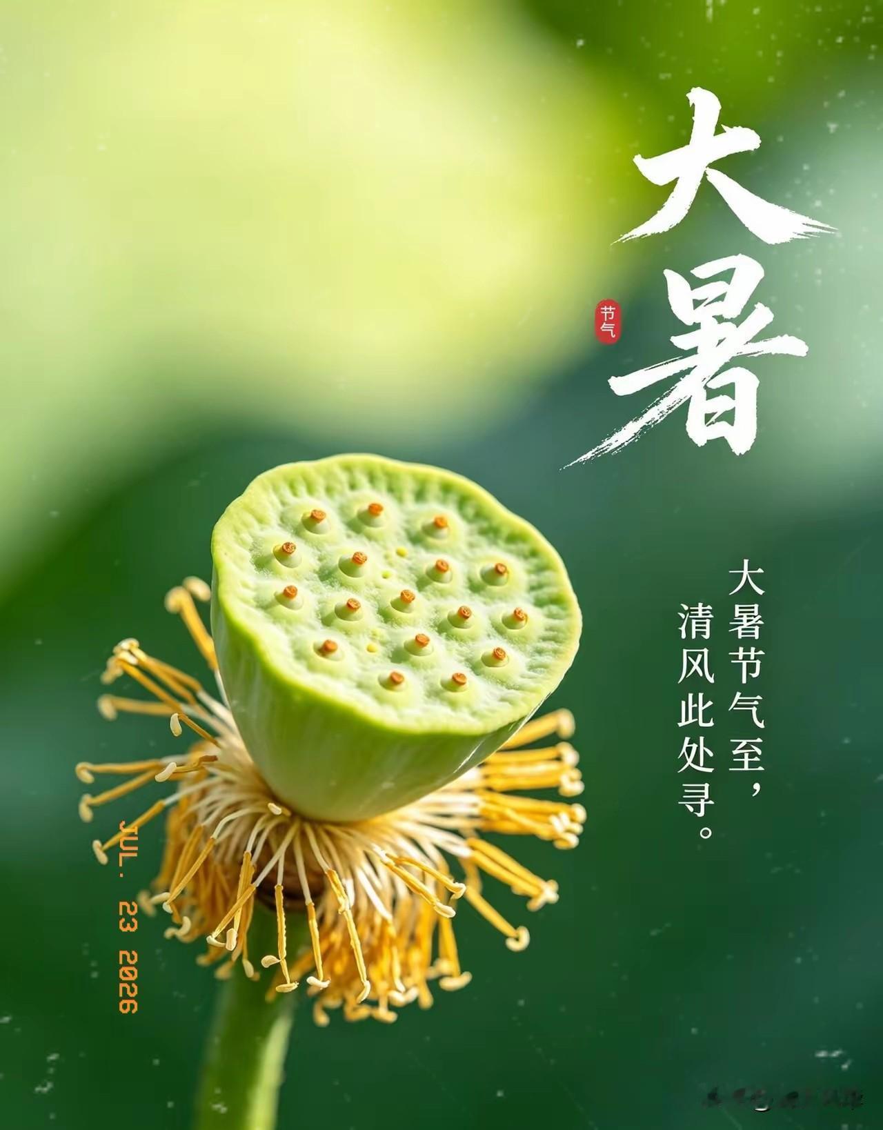 今天就是大暑，2026年交节在7月23日凌晨3点12分。民间老话讲“早大暑凉半月