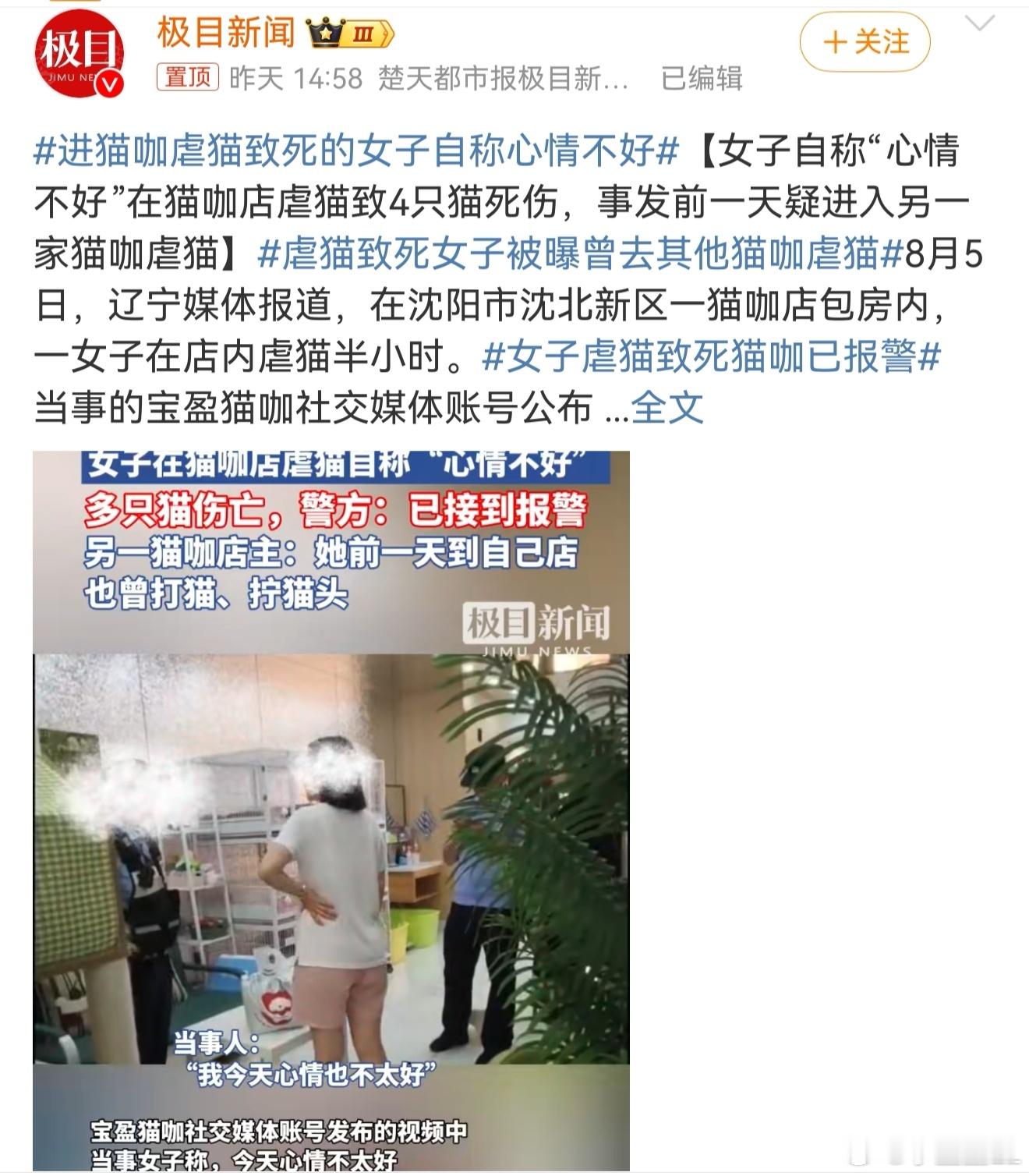 虐猫致死女子被曝曾去其他猫咖虐猫女子虐猫致4死2伤是否违法心情不好了不起，就以