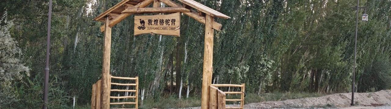 敦煌月牙泉边上，62岁大爷牵着骆驼，一趟4公里多，收游客130元，他们到手80元