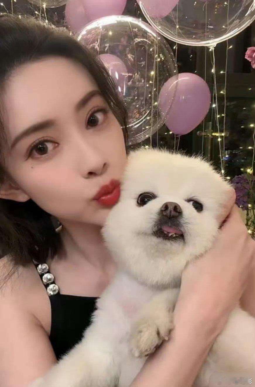 刘学义为孟子义的狗发声刘学义提孟子义的狗那段也太可爱了吧！担心小歪调皮欺负小