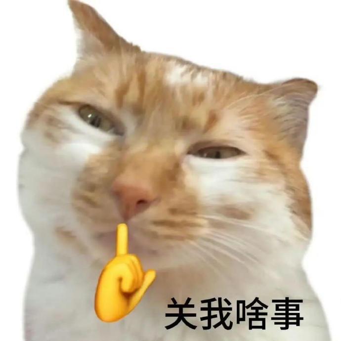 很多人跟我推荐王楚钦那句赛后采访，慕名去把原话找来看完了。他说男团打掉了自己部分精力。这话听着轻，分