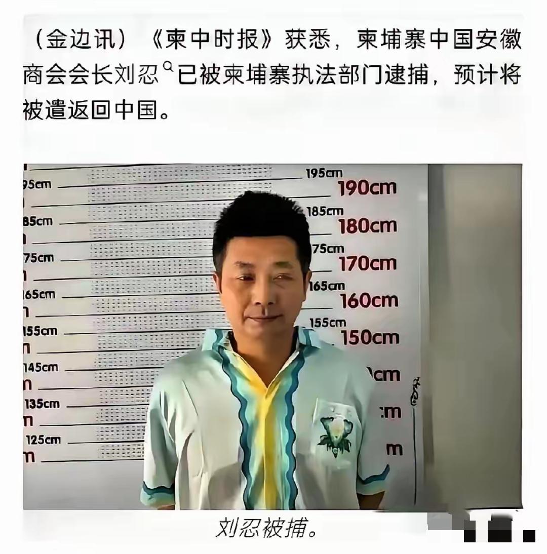 最寒心的背叛，从不是远方的黑暗，而是藏在自己人队伍里的内鬼。残害万千国人的电