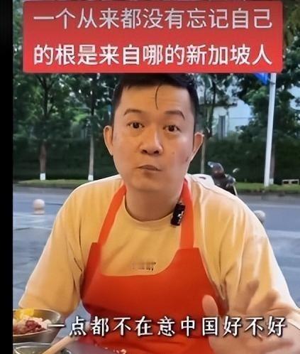 一位新加坡华人终于说了实话，他曾表示，在新加坡的华人，根本不在乎中国到底好不