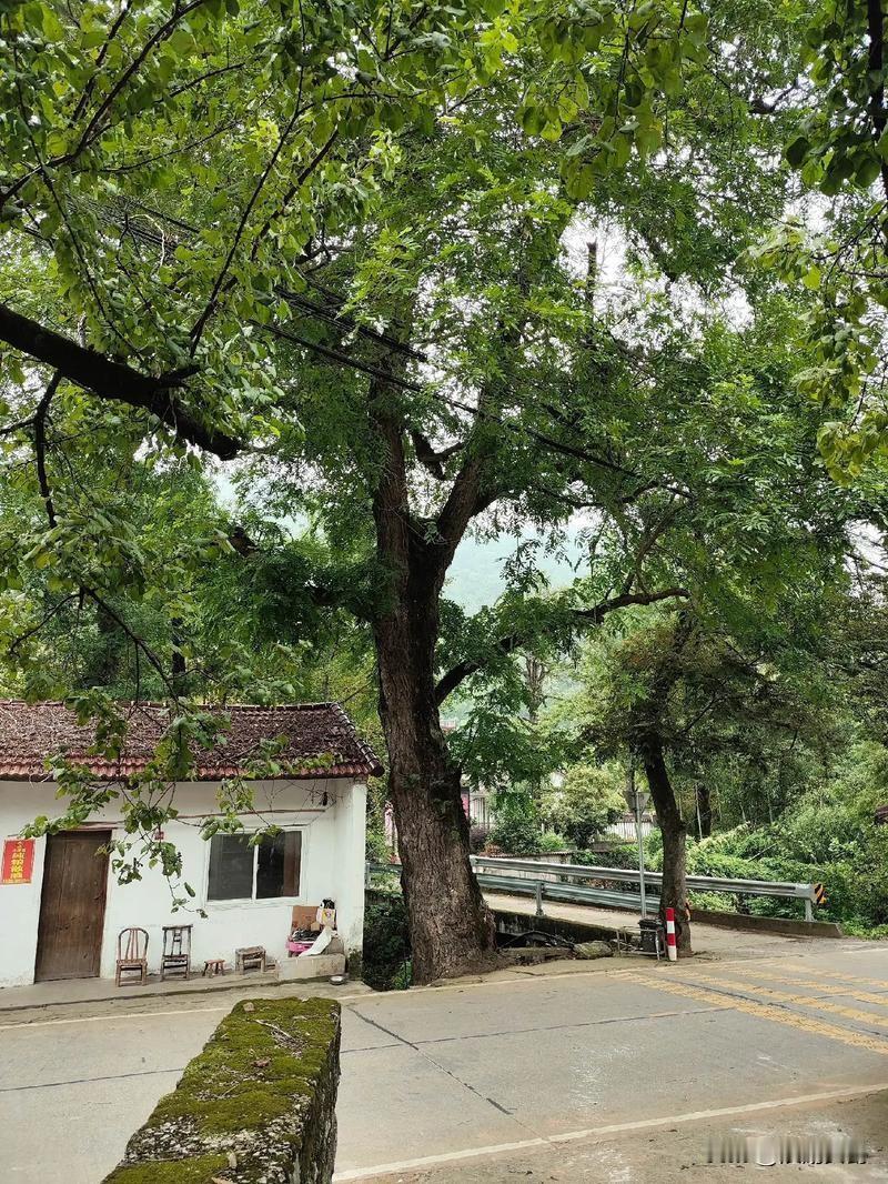 你信不信？再过20年，亲戚断亲，堂兄妹之间也基本不来往了。我今年46岁，