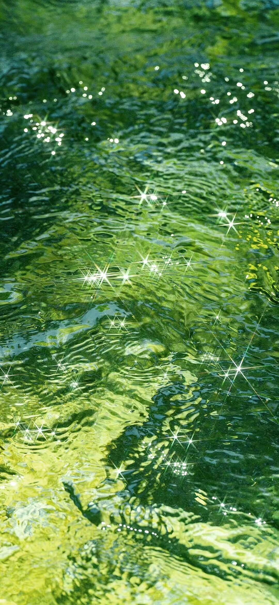 wallpaper｜全屏壁纸·以花之名言我所爱··𝒮𝒶𝓎𝓌?
