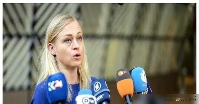 不知道这货是有脑子还是没脑子。那个十万八千里以外的中国对芬兰构成了哪门子威胁？芬