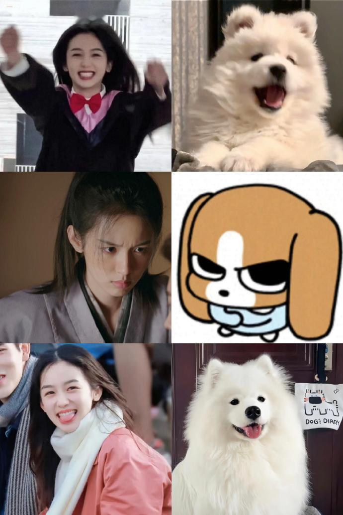 周也伟大的镜头签投稿【周也】我家那小狗