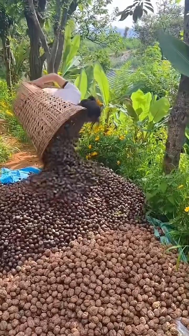 哎呦我的妈，哈哈哈。