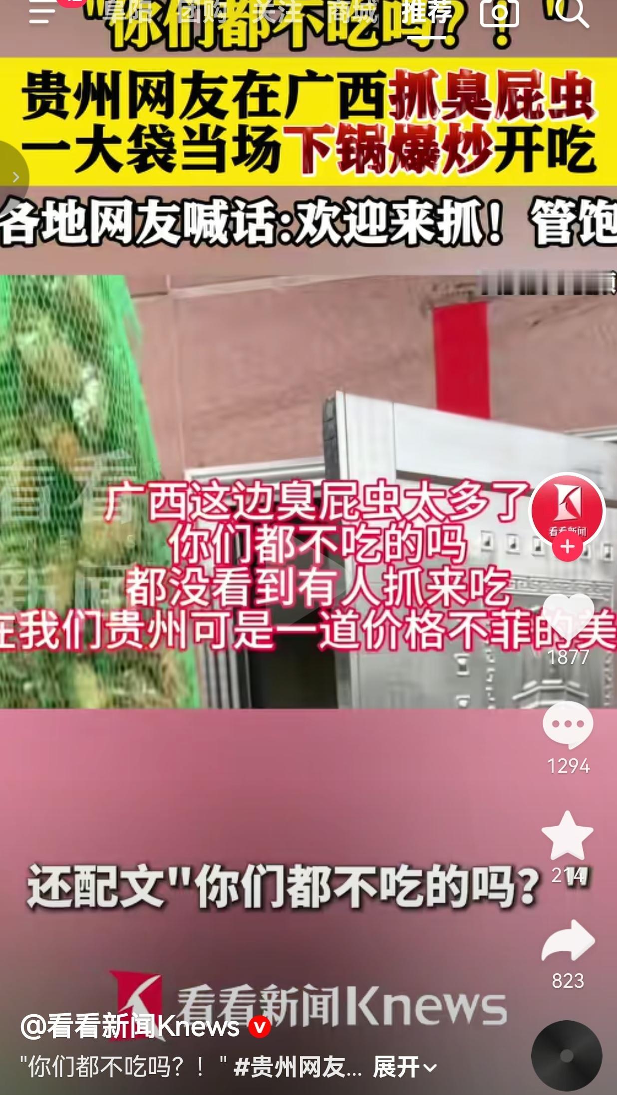贵州网友在广西抓臭屁虫，当场爆炒开吃！网友笑疯：这波是反向“扶贫”谁能想到