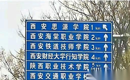 西安有条街，坊间人称“学渣路”。你站在十字路口转一圈，职高、技校、大专……五颜