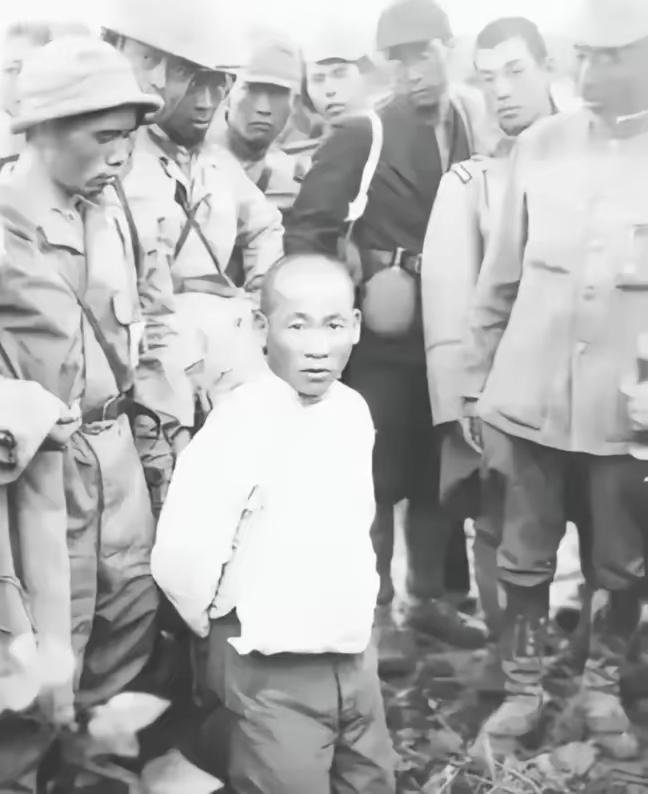 1939年，一个“小男孩”在街上碰到了日本军官茨谷五雄，就朝他鞠了一躬，但茨谷五