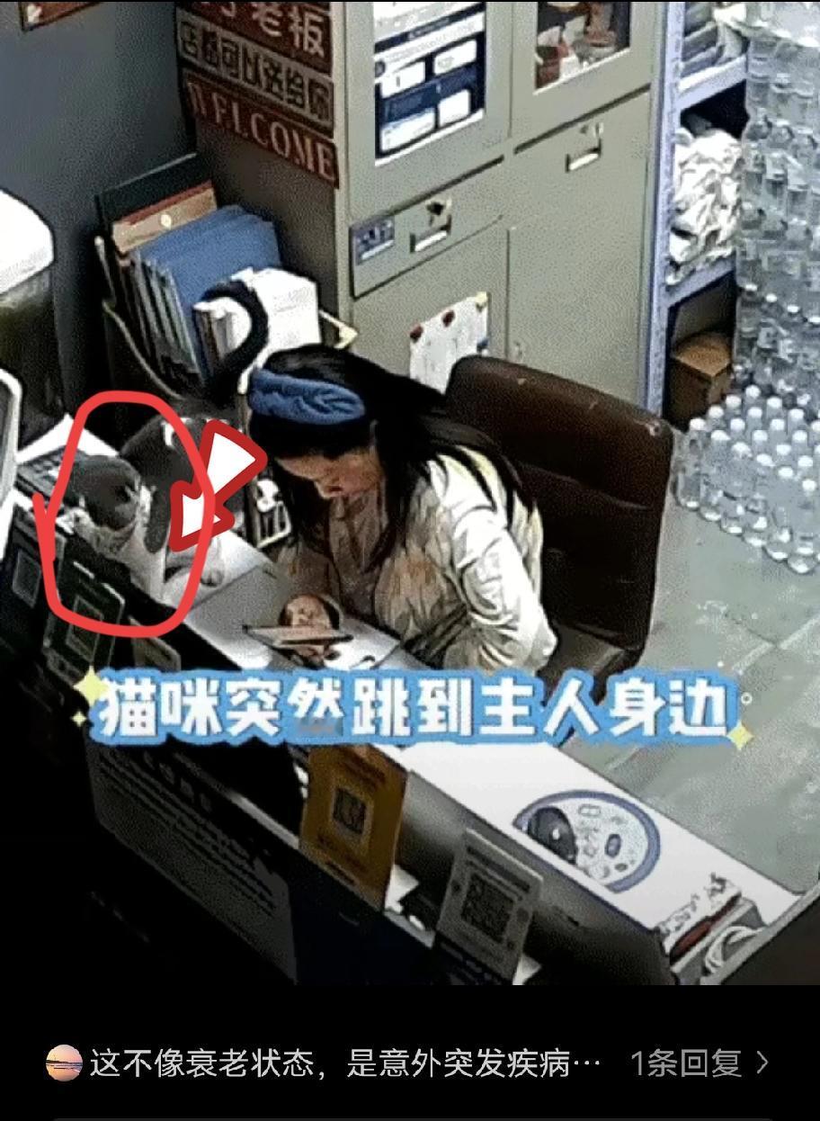 别再说动物不懂感情了！山东德州那位店主的经历，简直给所有质疑者狠狠上了一课。