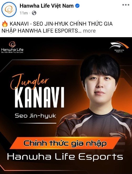 草台班子HLE母公司运营的越南社交媒体账号闹出大乌龙，提前泄露了Kanavi的加