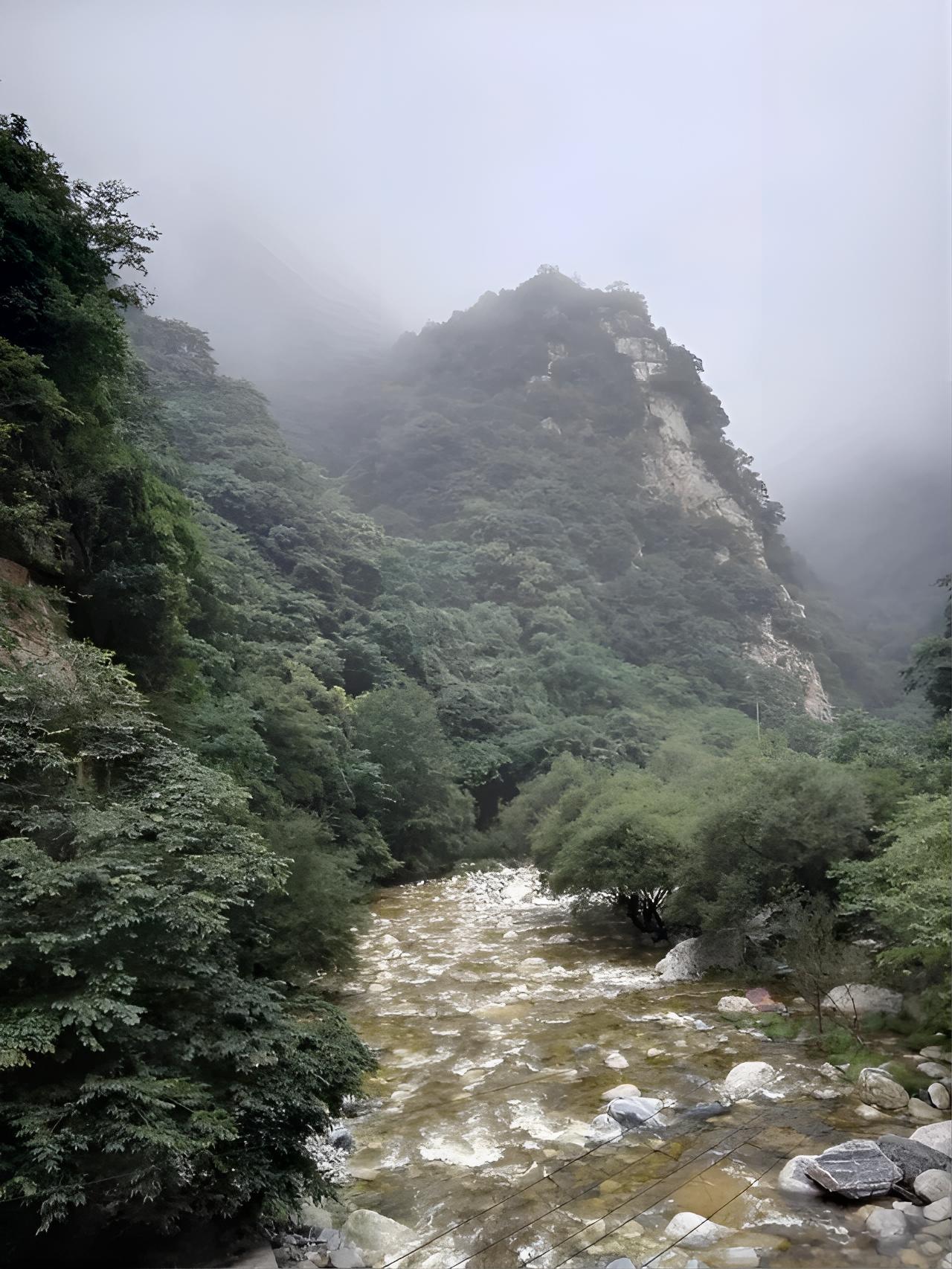 秦岭