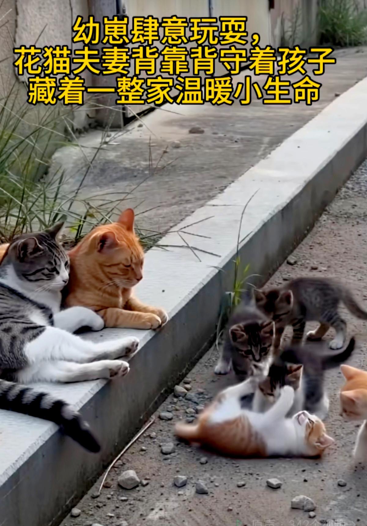 好温馨的画面！