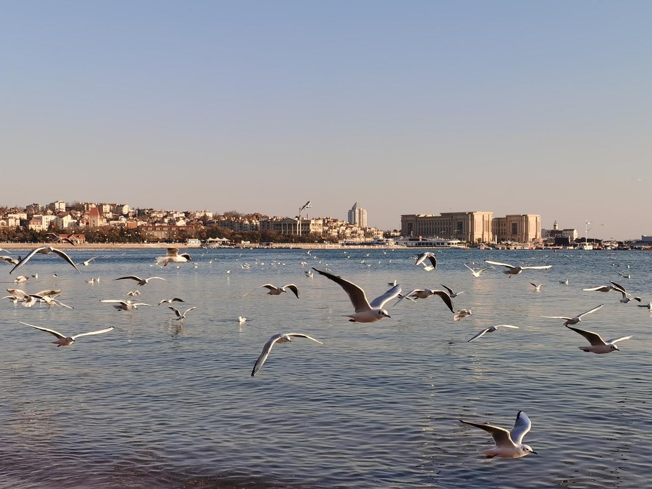 突然发现老伴退休以后，家里的生活花销变大了。原来老伴上班的时候，我们只在家吃