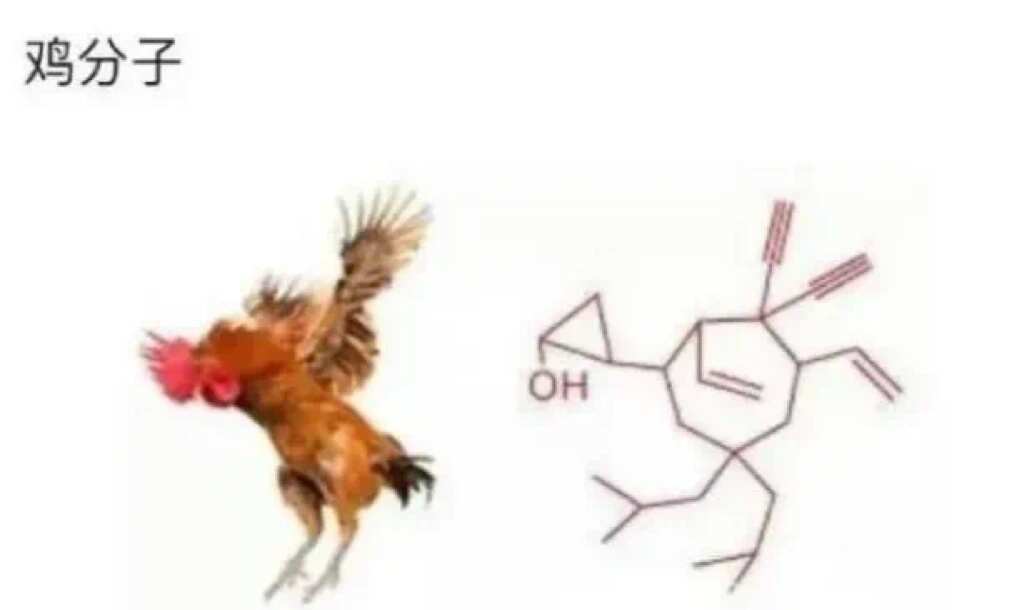 当科学家意识到起名自由度很高时当科学家意识到起名自由度很高时，科学家：你猜我为