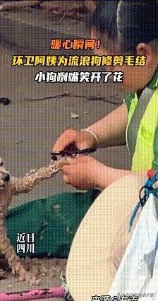 环卫大姐坐在地上，拉着流浪狗的爪子给它修剪打结的毛，边剪边说：“你看你，毛都纠结