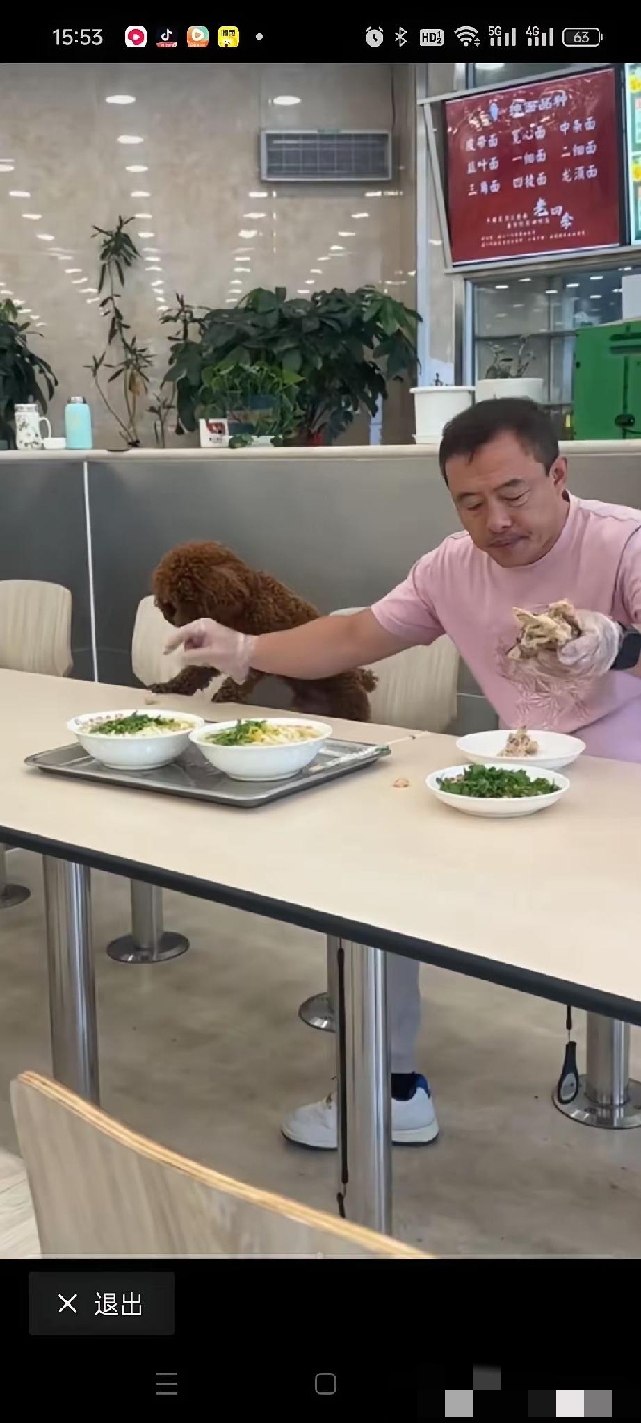 沈阳犬上餐桌事件男人是谁截至2026年6月17日，涉事男子身份未公开，无权威渠