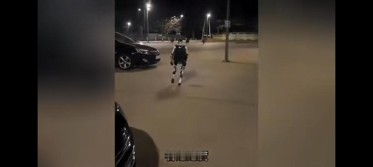 中国机器人波兰夜晚抓野猪，如果投入俄乌战场咋样？无论任何一方，不用征兵了直接