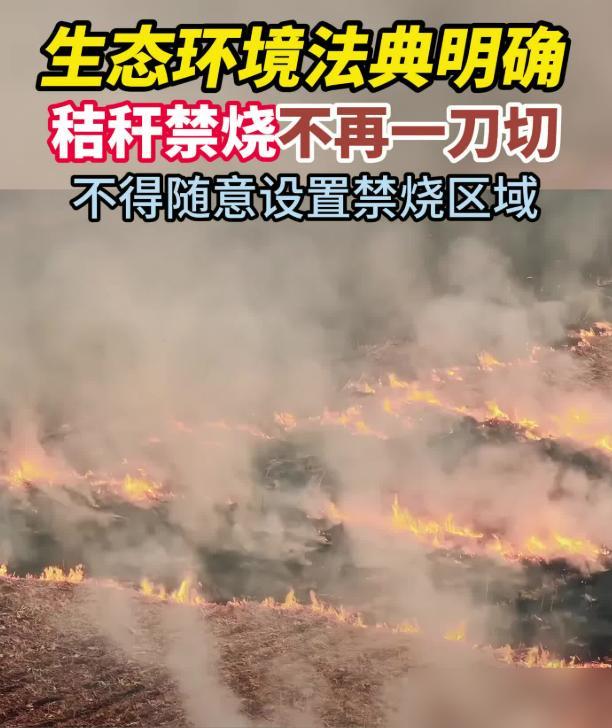 老公给公司当司机，一干就是12年。之前我还跟着小区相熟的阿姨吐槽过老金，说他