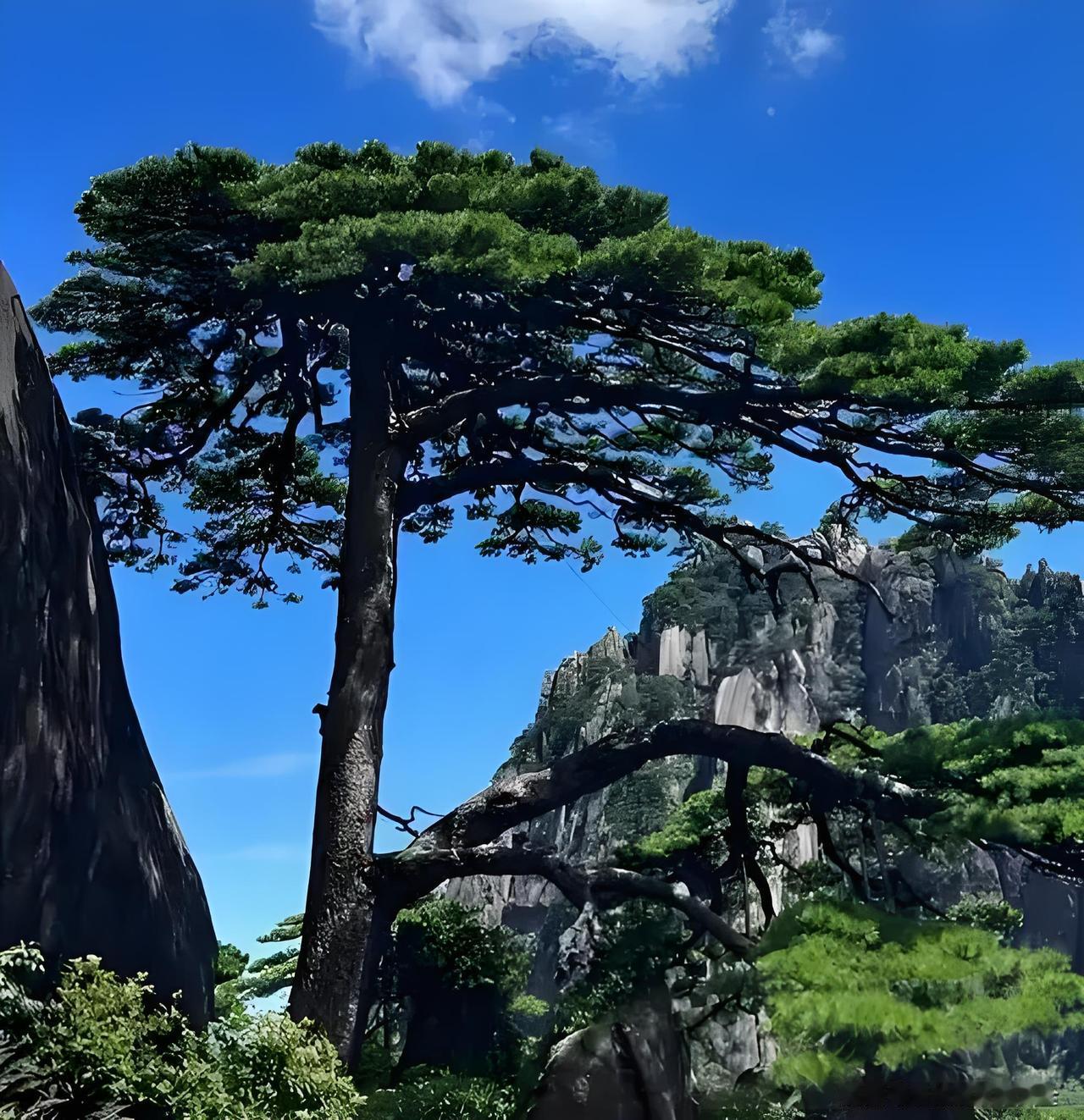 冬季旅游，我有超棒的目的地推荐。黄山是冬日水墨画，12月-1月门票仅150